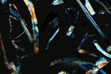 Bioquímica de renováveis 3 Fragmentos de bagaco de cana hidrolizado Microscopia Optica