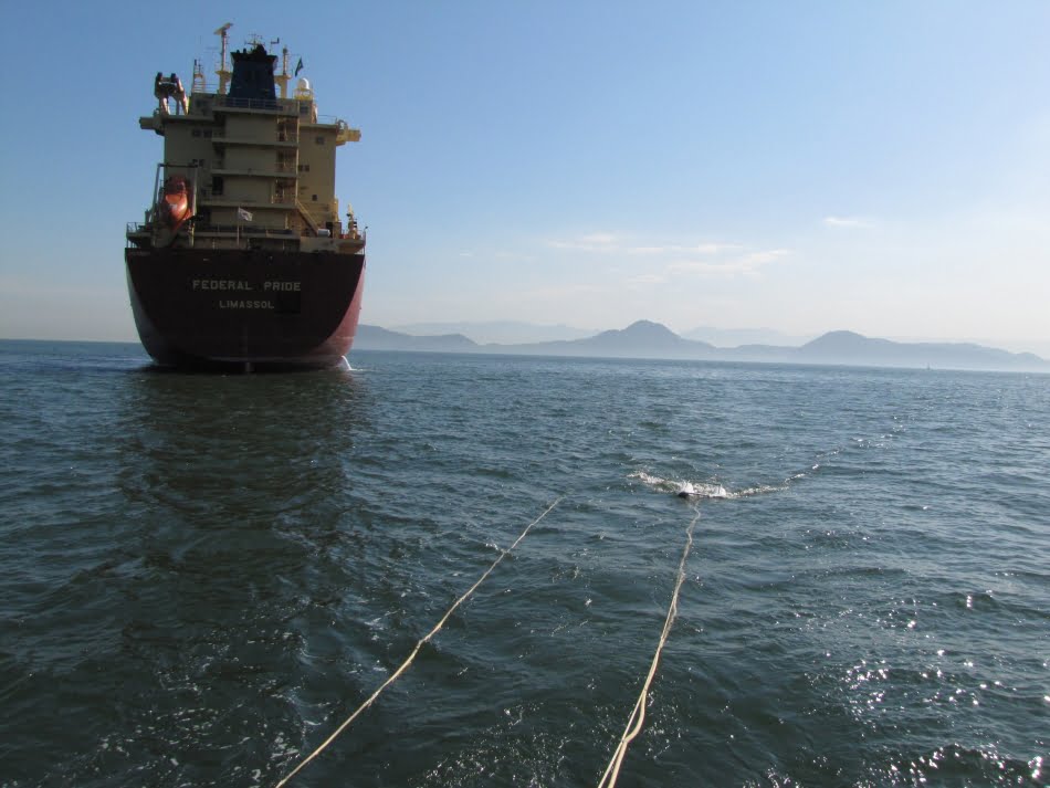 Principais métodos acústicos utilizados na investigação de ambientes submersos rasos (batimetria, sonar de varredura lateral e perfilagem sísmica contínua) serão discutidos no curso de cinco dias