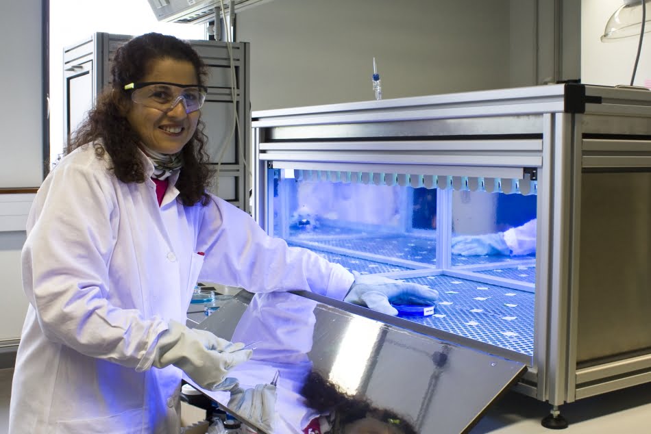 Maria Helena: tecnologia para produzir nanofibras a partir de eletrofiação tem possibilidades promissoras para aplicações nas áreas farmacêutica e odontológica
