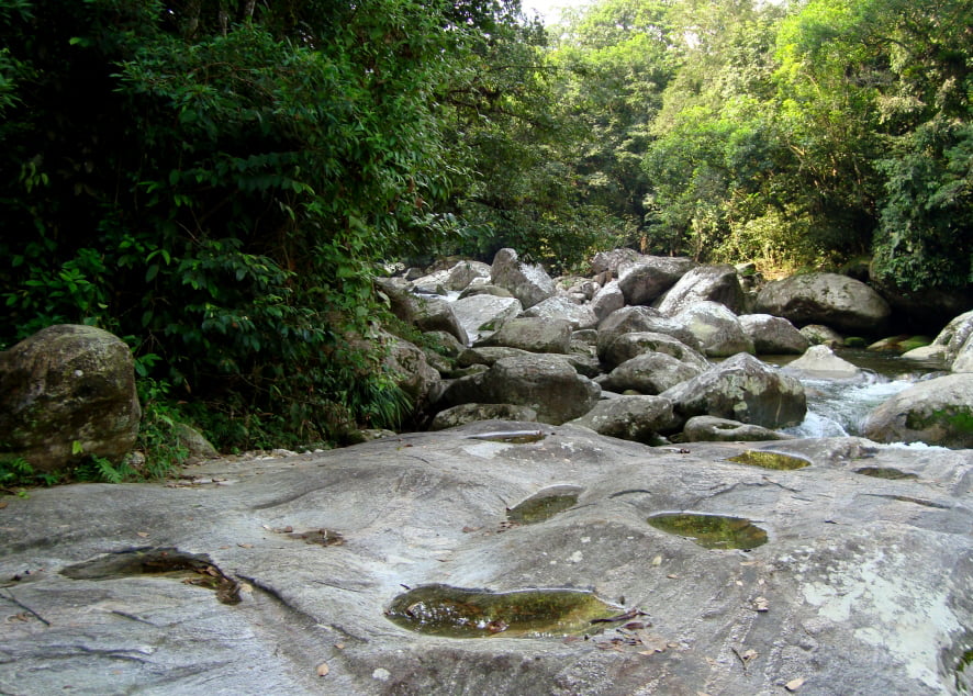 Restauração de área degradada 1 Objetivo do projeto é recuperar a área degradada e revitalizar a trilha utilizando técnicas não-convencionais de engenharia