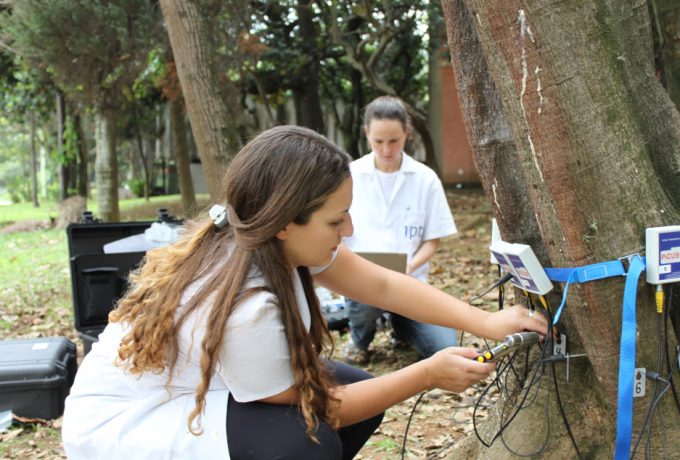Pesquisadores do IPT usam tomógrafo para fazer o diagnóstico de um exemplar arbóreo no campus do Instituto