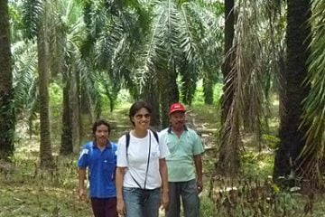 Trabalho de coleta de dados em campo junto a pequenos produtores de sistemas florestais