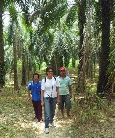 Trabalho de coleta de dados em campo junto a pequenos produtores de sistemas florestais
