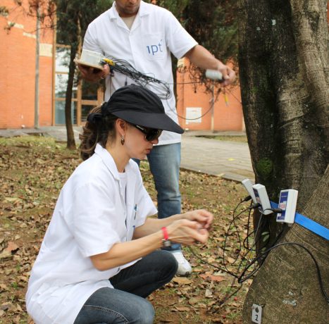 Trabalho de campo começou nesta semana