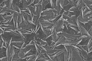 Aspecto micrográfico camada fosfatizada obtido com auxílio do MEV