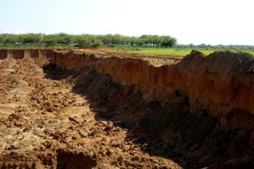 Área degradada: recuperação será feita com espécies nativas segundo estudos de bioengenharia