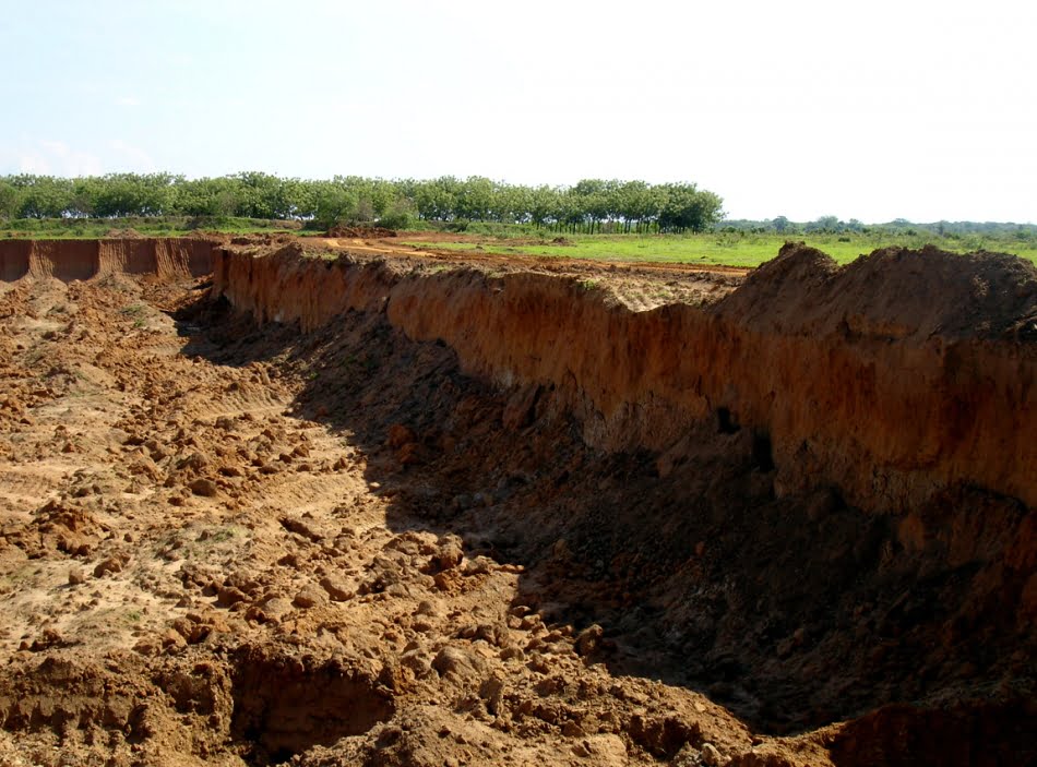 Área degradada: recuperação será feita com espécies nativas segundo estudos de bioengenharia