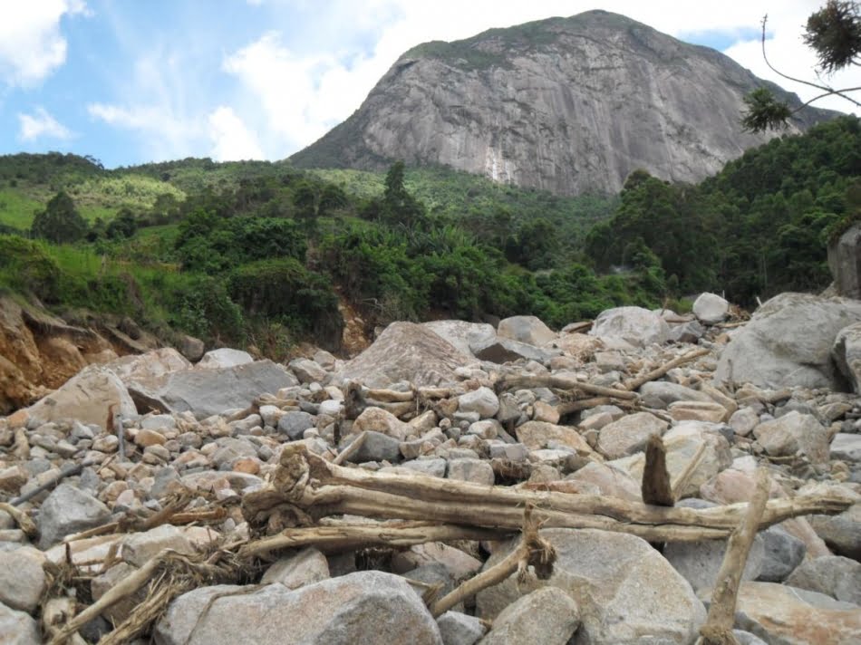 Detalhe dos troncos depositados em meio aos blocos: estes se encontram descascados devido ao atrito com os blocos em meio à corrida