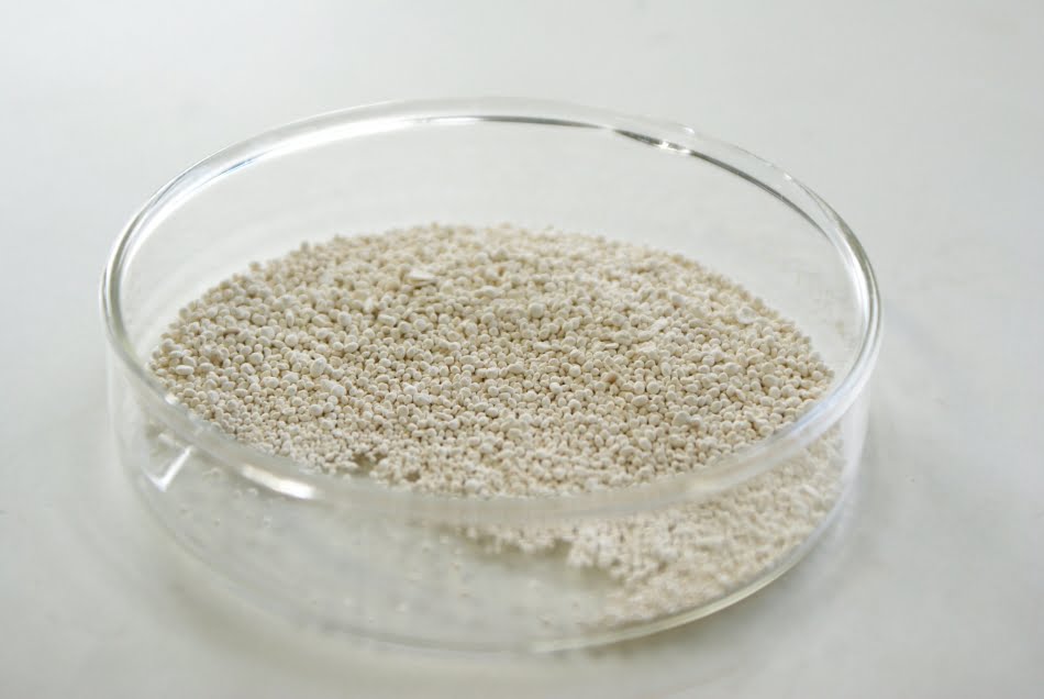 Polímero biodegradável extraído das células bacterianas