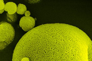 Microparticulas poliméricas nanoestruturadas obtidas por spray drying, ou secagem por aspersão, em laboratório do IPT