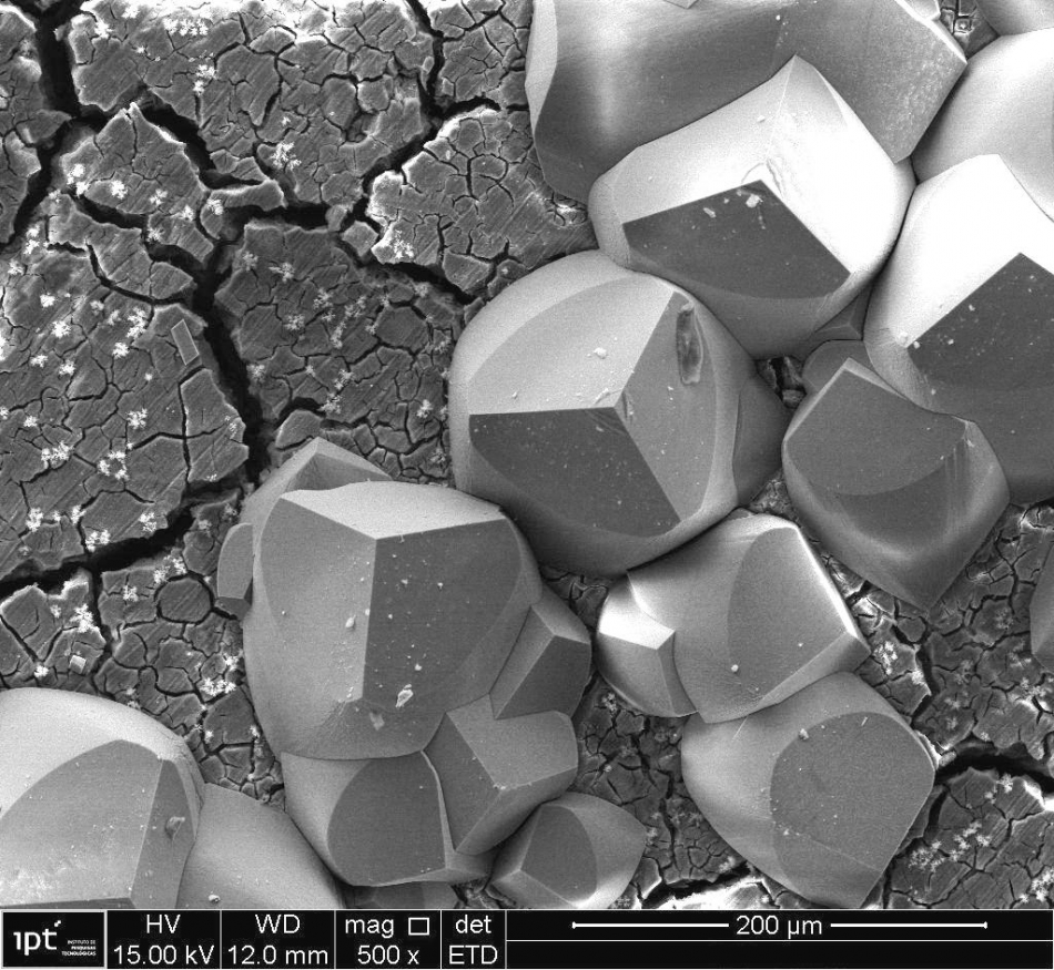 SEM images of ferrous carbonate (FeCO3) precipitated on a cracked corrosion product layer formed on UNS K41245 grade T5 (5 % Cr) steel in NaCl/CO2 solution (Sweet Corrosion)