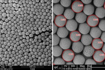 Nanopartículas de sílica funcionalizadas com moléculas hidrofílicas, produzidas em laboratório