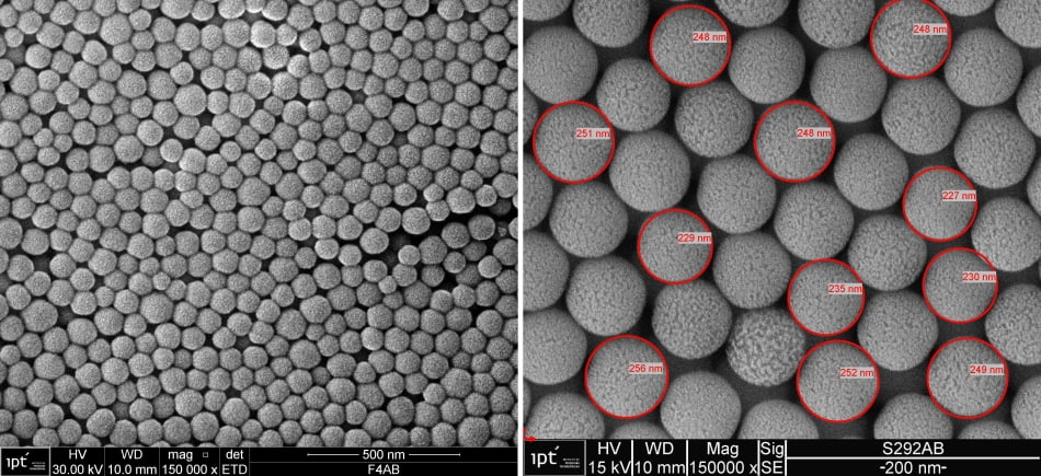 Silica nanoparticles functionalized with hydrophilic molecules produced in laboratory