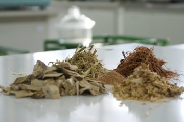 Caracterização de biomassa, resíduos sólidos e carvão para fins energéticos 9 amostras de biomassa