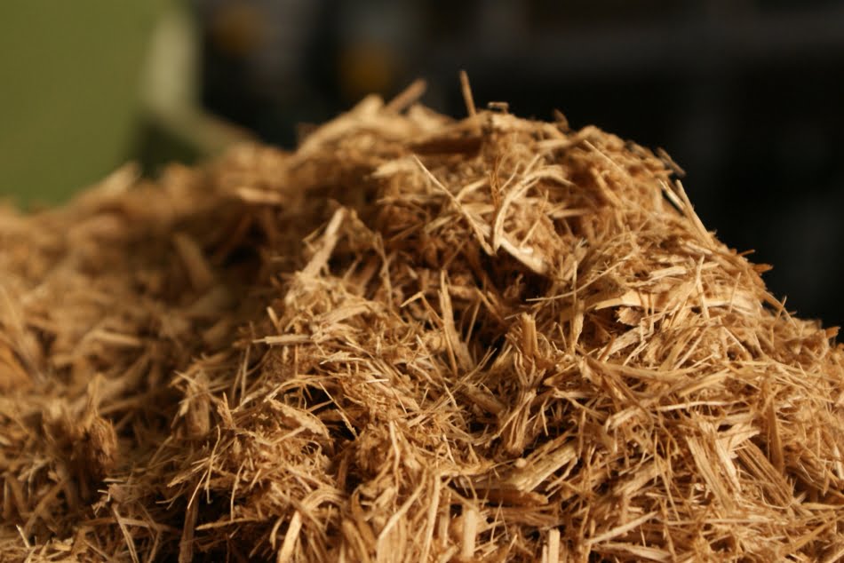 Processos de cogeração de energia e metodologias de caracterização estão no programa do curso