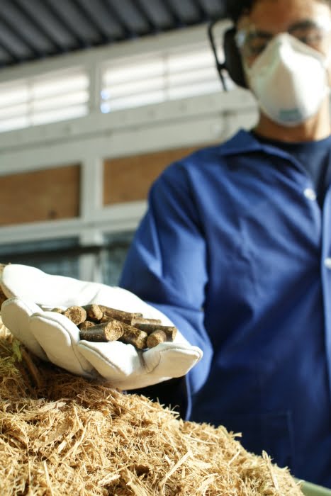 Pré-tratamento físico e processos de adensamento de biomassa 1 Pellets de biomassa