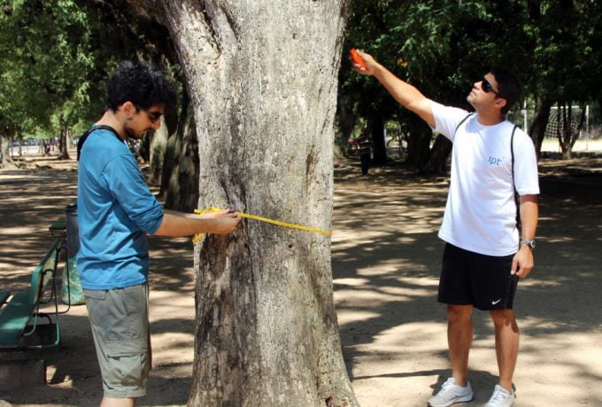 Laboratório de Árvores, Madeiras e Móveis fará a análise de 150 árvores em diversas áreas da cidade