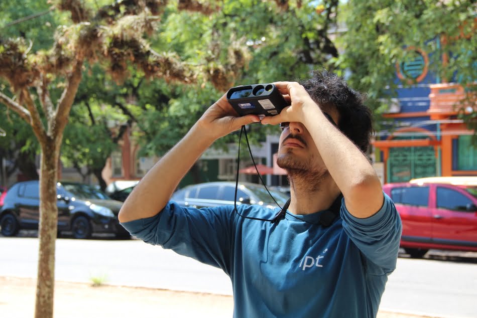 Planejamento e manejo adequado são fundamentais para a gestão das árvores urbanas