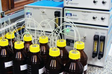 Ensaio de biodegradabilidade acoplado ao analisador de gases (Micro-Oxymax) para monitoramento da evolução de gás carbônico