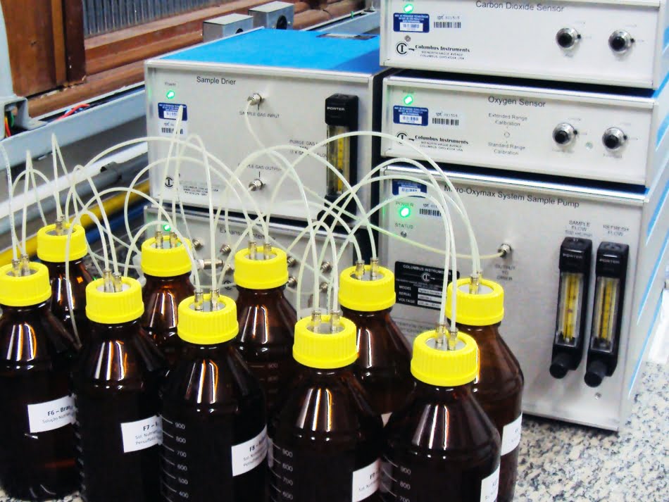 Ensaio de biodegradabilidade acoplado ao analisador de gases (Micro-Oxymax) para monitoramento da evolução de gás carbônico
