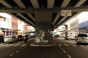 Impactos da nova Lei de Uso e Ocupação do Solo, votação do Projeto de Lei 75/2013 (Mapa do Ruído Urbano) e o início da tramitação do novo Código de Obras na Câmara Municipal de São Paulo serão alguns dos temas discutidos na conferência