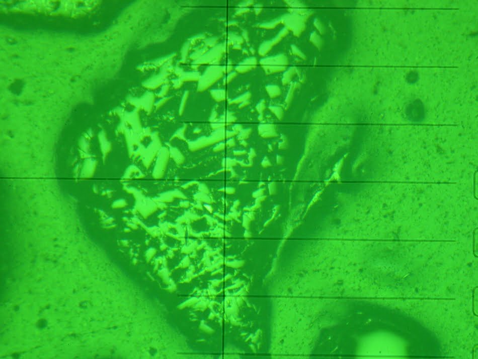 Imagem de amostra de rocha obtida no microscópio óptico comprado no processo de modernização do IPT