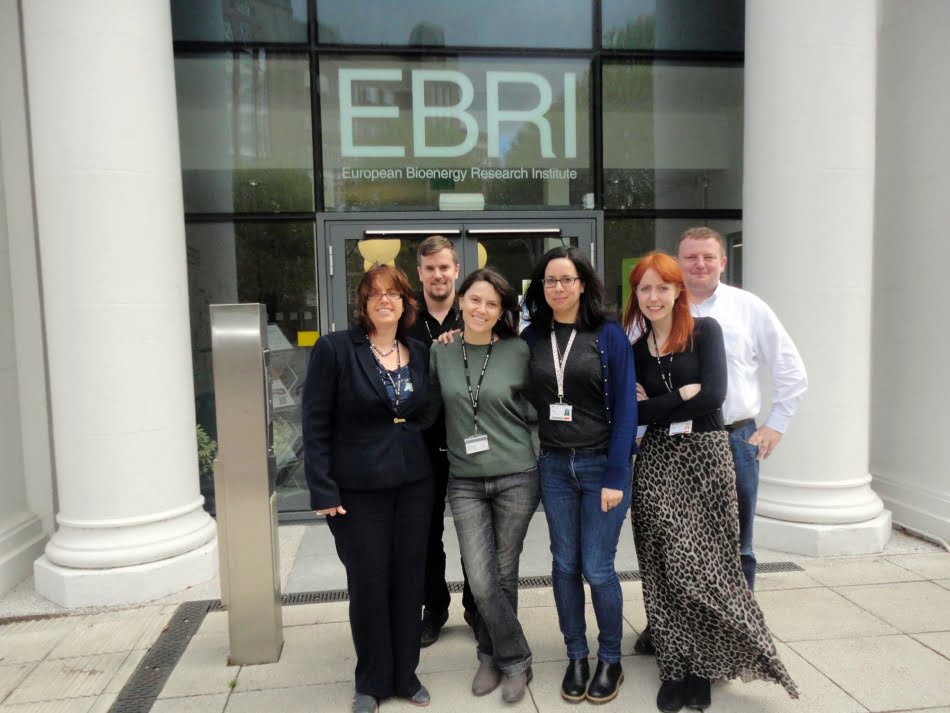 Ana Paula (terceira, da esq. para dir) e a equipe de pesquisadores do European Bioenergy Research Institute (Ebri)