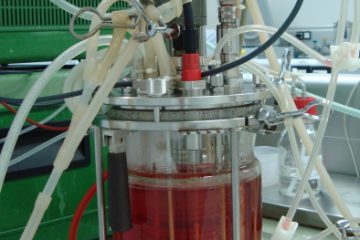 Desenvolvimento de vacinas e biofármacos 1 Biorreator de células: processos de produção de fatores de coagulação sanguínea são aplicados no desenvolvimento de fármacos