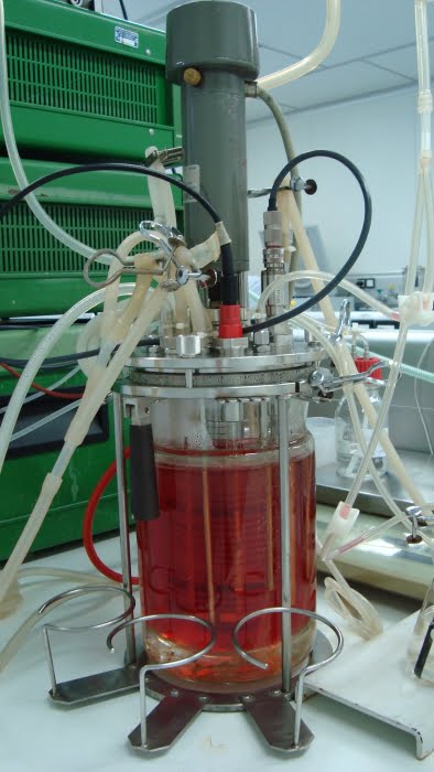 Biorreator de células: processos de produção de fatores de coagulação sanguínea são aplicados no desenvolvimento de fármacos