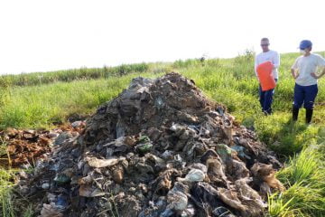 Abertura de trincheira para prospecção e amostragem