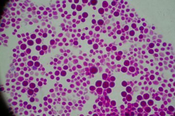 Vagas estão abertas para alunos dos cursos de Ciências Biológicas, Biotecnologia, Engenharia Ambiental, Ciências Ambientais, Engenharia Química ou Bioquímica e áreas correlatas