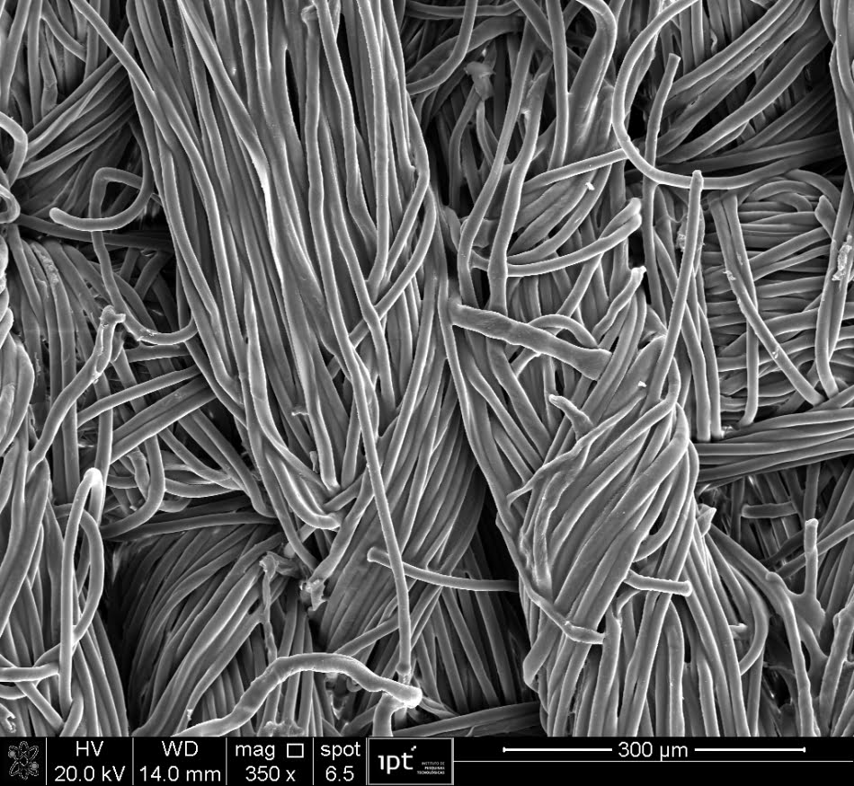 Microscopia eletrônica de um tecido contendo material nanoestruturado