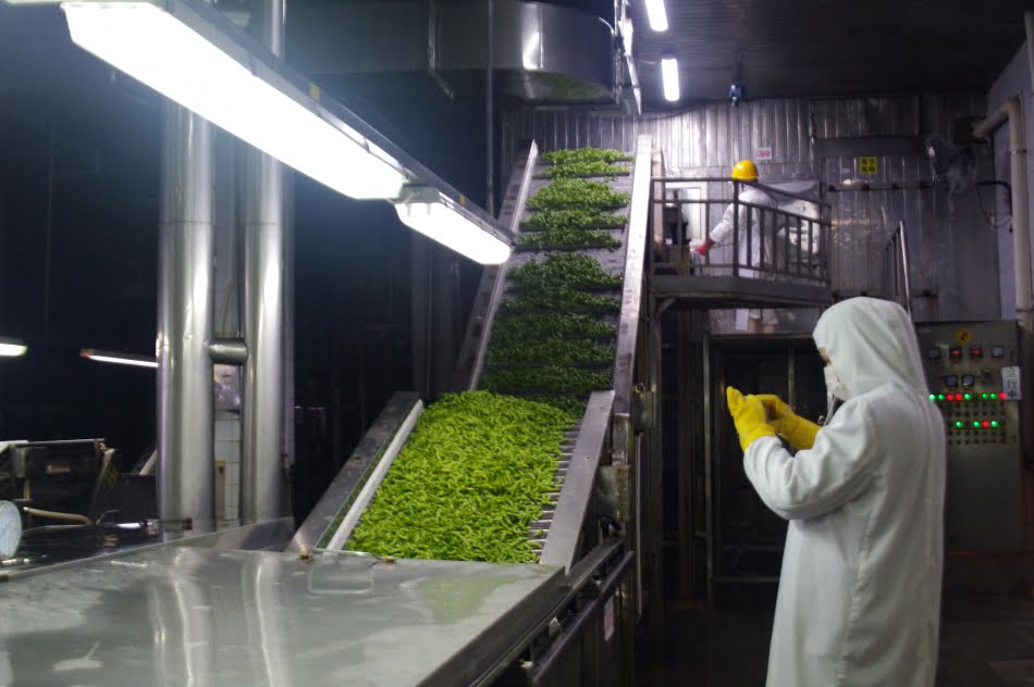 Pesquisadoras do IPT visitam fábrica de vagens de soja em Xiamen, na China