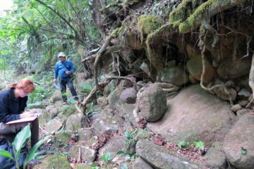 Geografia de riscos 13 Registro de depósito sedimentar, de corrida de detritos, observado na margem direita do córrego do Pau D´Alho