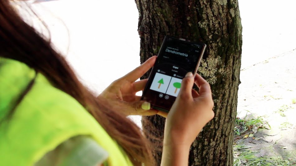 Software Arbio, desenvolvido no IPT, é uma das tecnologias disponíveis aos municípios para cuidado e planejamento da arborização urbana