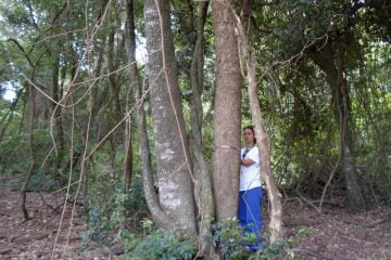 Trabalho desenvolvido pela Seção de Sustentabilidade de Recursos Florestais para o Departamento Hidroviário foi feito dentro do convênio do IPT com a Secretaria de Logística e Transporte para apoio tecnológico na hidrovia Tietê-Paraná