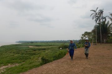 Equipe técnica do IPT em campo de pesquisa
