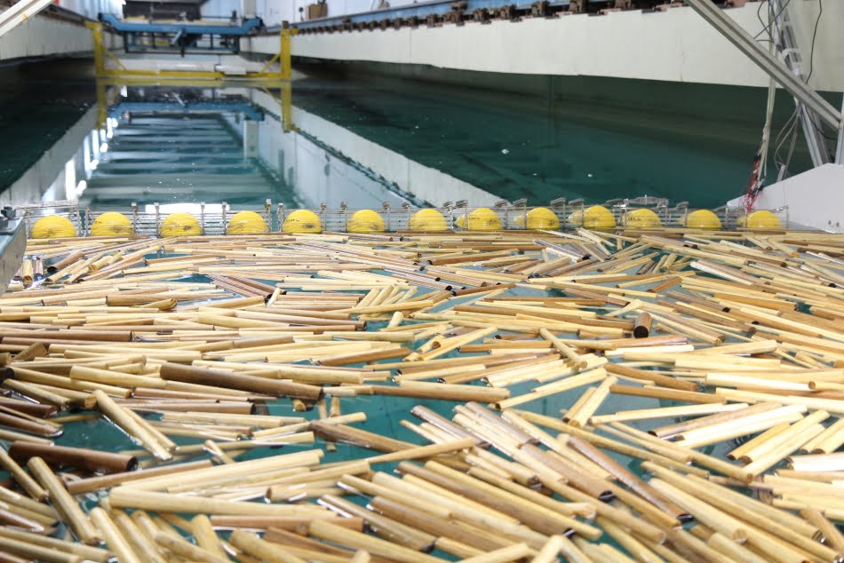 No período crítico das cheias, entre março e abril, descem em média cerca de 9.000 troncos e árvores por dia pelo Rio Madeira