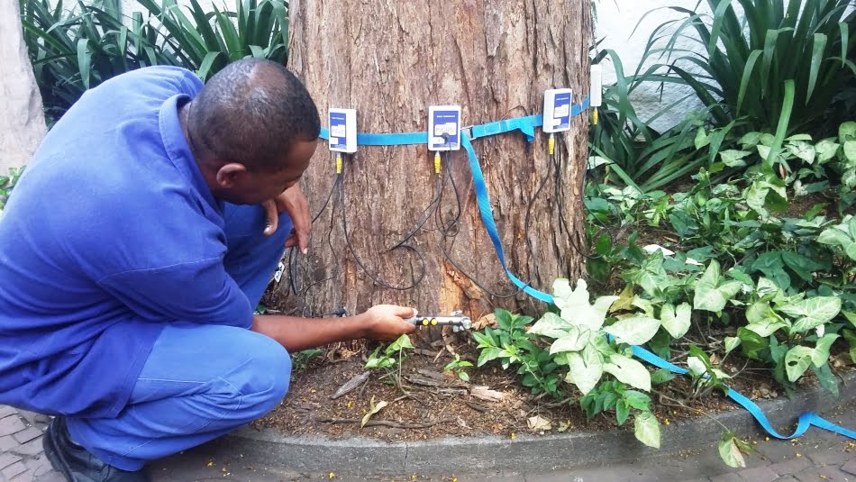 ...que incluiu a avaliação por tomógrafo, o qual permite a execução de ensaios com um maior rastreamento da seção transversal e a visualização dos resultados em imagens bi e tridimensionais, sem causar danos à árvore.