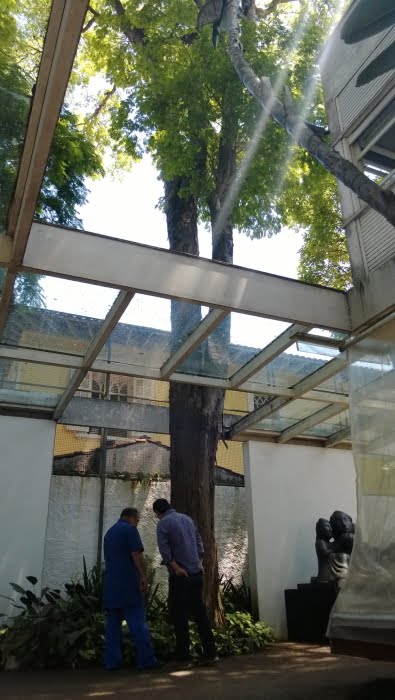 Avaliação das condições biológicas e do risco de queda de 15 árvores, e também uma inspeção no museu com o objetivo de avaliar a sanidade biológica do madeiramento, compuseram o escopo do projeto...