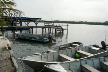 A partir de amostras coletadas na Ilha, será analisada a qualidade da água, dos sedimentos e dos organismos da região, como peixes
