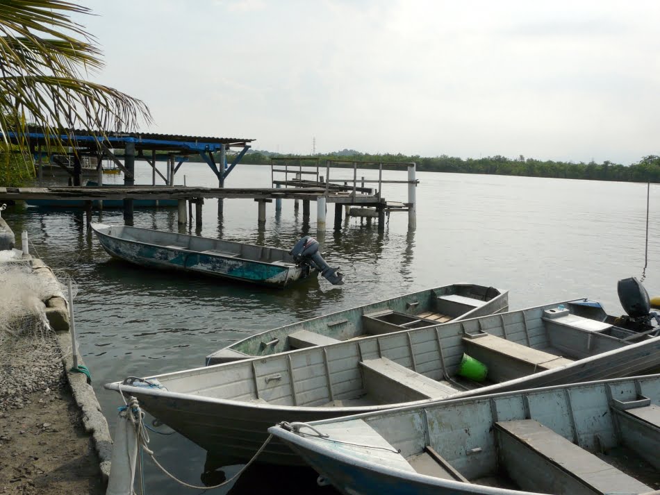 A partir de amostras coletadas na Ilha, será analisada a qualidade da água, dos sedimentos e dos organismos da região, como peixes