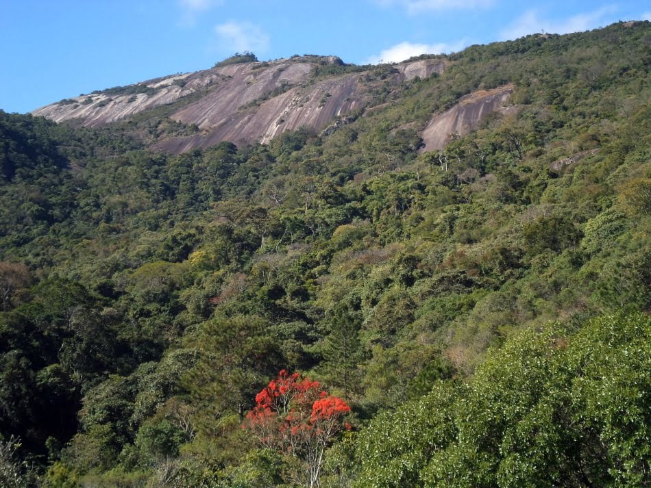 Entre os planos de manejo avaliados estava o estudo do Parque Natural Municipal da Grota Funda, realizado em Atibaia pelo IPT