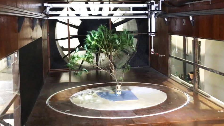 Galhos de eucalipto foram ensaiados no túnel de vento do IPT pela impossibilidade de utilizar um modelo reduzido de árvore