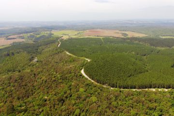 ...que chegam a 68,2% de seu território - um drone foi usado para capturar as imagens e auxiliar os pesquisadores no projeto.