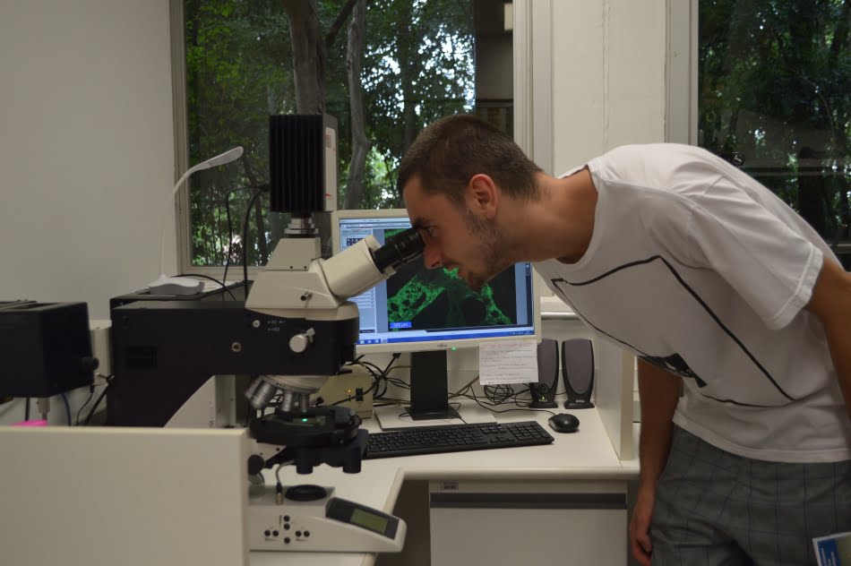 Calouro do curso de Engenharia Elétrica da Poli observa amostra de concreto no microscópio. Reprodução: Poli-USP