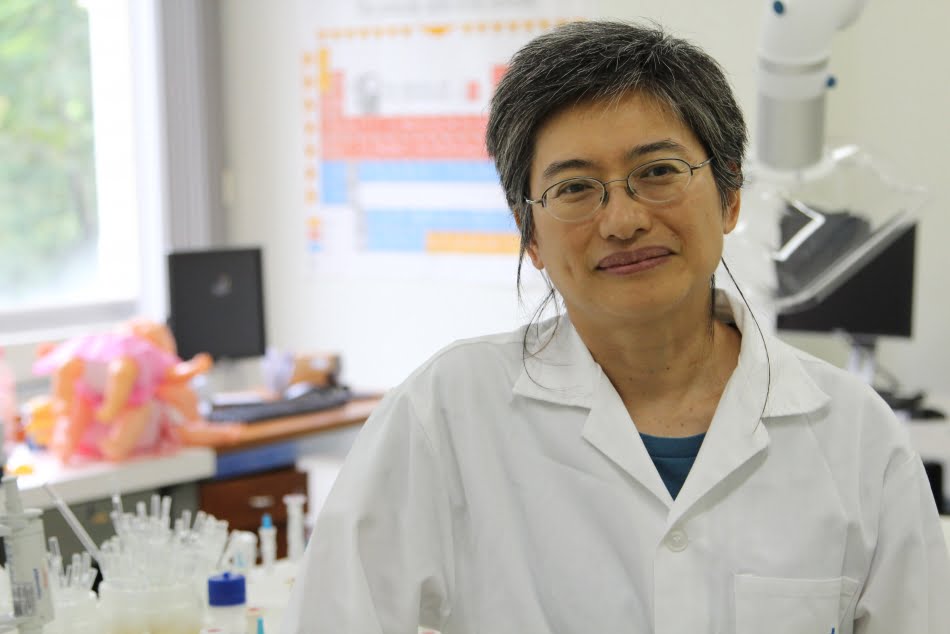 Análise do material extraído das seringas foi feita por espectroscopia de infravermelho com transformada de Fourier (FTIR) pela pesquisadora Shoko Ota