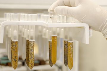 Corpos de prova de aço-carbono em ensaio de corrosão