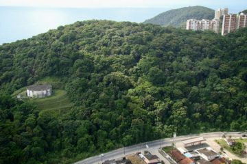 Promover o uso sustentável da floresta urbana local, conciliando a conservação ambiental com outros usos, está no escopo do projeto