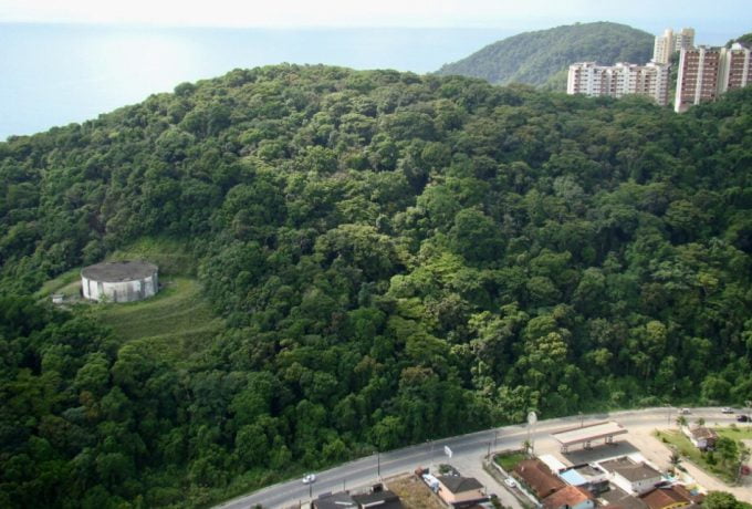Promover o uso sustentável da floresta urbana local, conciliando a conservação ambiental com outros usos, está no escopo do projeto